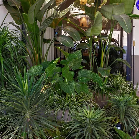 Sherwood Premio Szálloda 3*